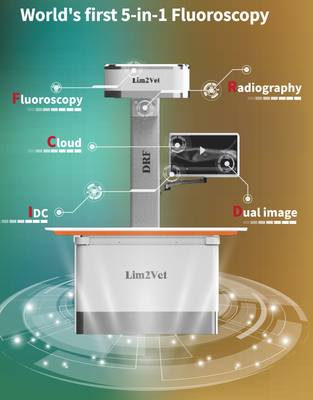 Good price Equipo médico veterinario de 32 kW Máquina de fluoroscopia en tiempo real DR en línea