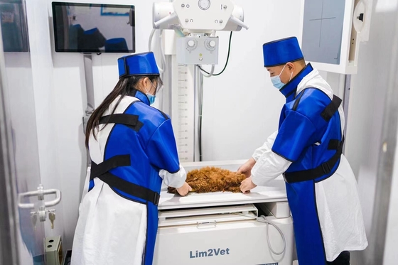 Equipo médico veterinario de 32 kW Máquina de fluoroscopia en tiempo real DR